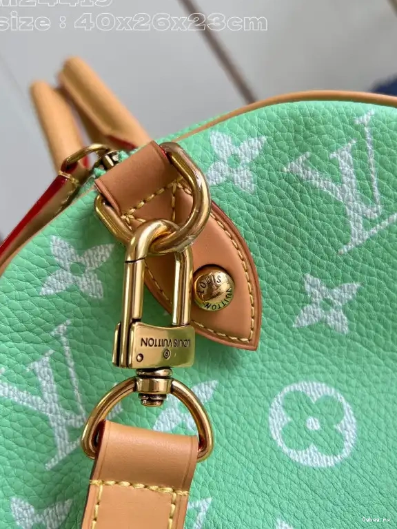 40 Vuitton SPEEDY Louis 0519
